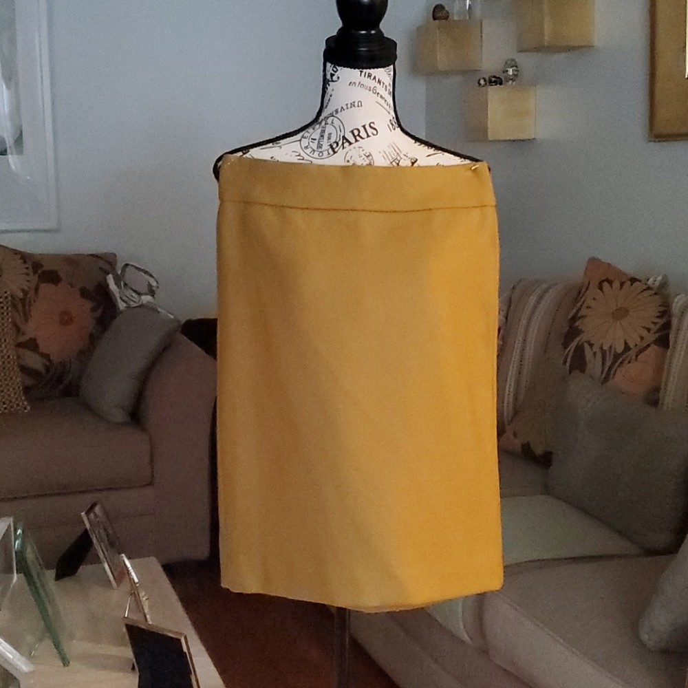 Wool pencil skirt (gently used)